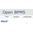 OpenBPMS