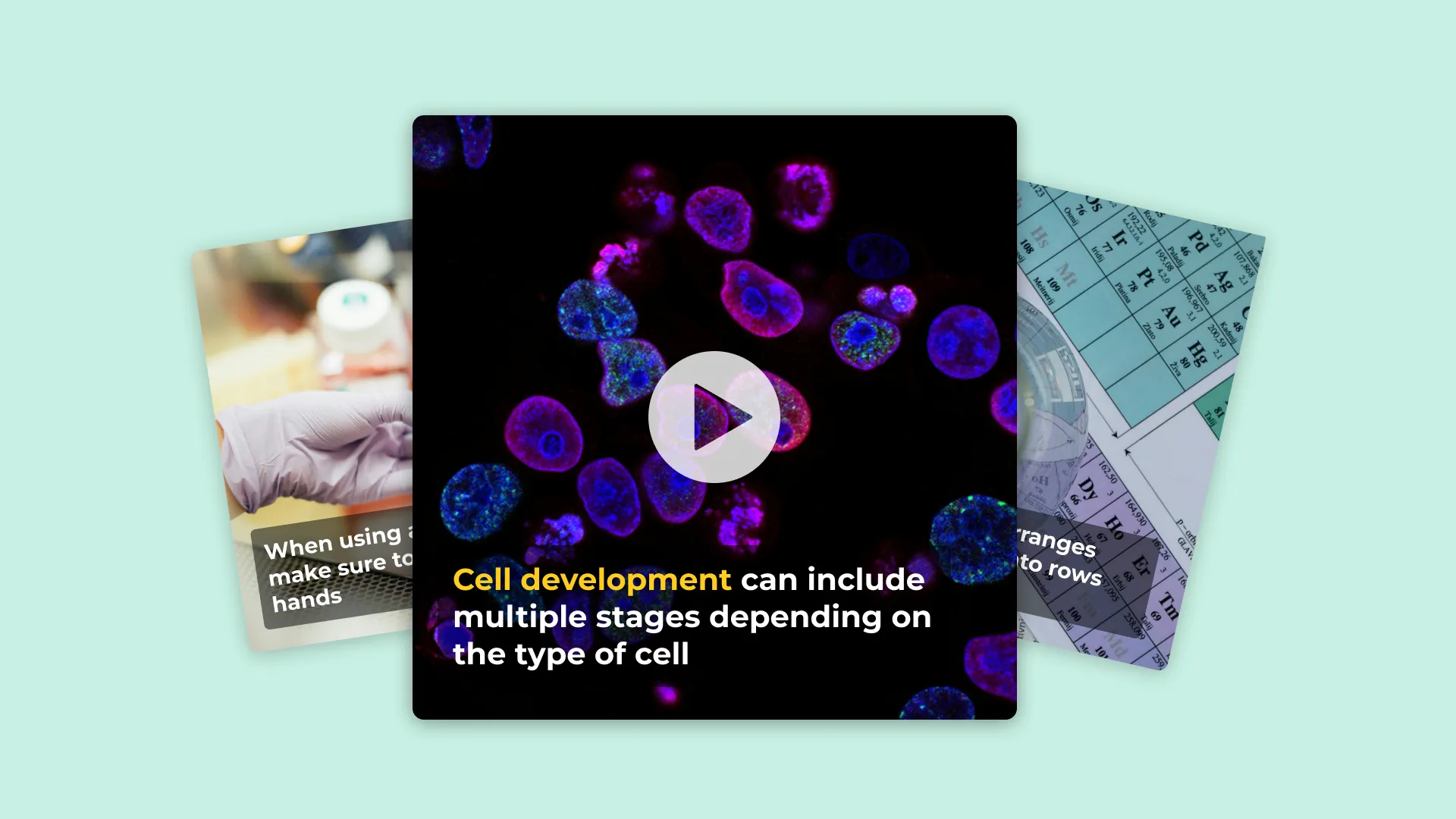 Three screenshots from educational biology videos