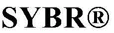 Figure BDA0001441160160000402