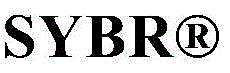 Figure BDA0001441160160000431