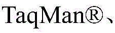 Figure BDA0003241870950000183